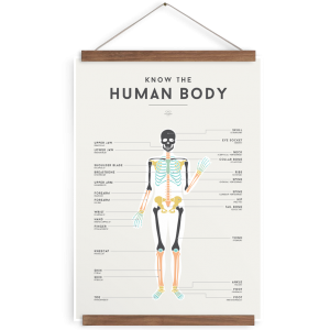 We Are Squared Human Body Poster 50x70cm