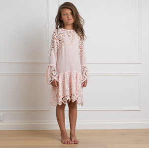 Petite Amalie Long Sleeve Embroidered Dress Ice Pink