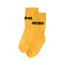 The Animal Observatory SS19 Worm Socks Yellow