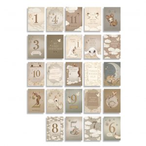 Mrs Mighetto My Tiny Theater Baby's First Year Milestone Cards 24PC