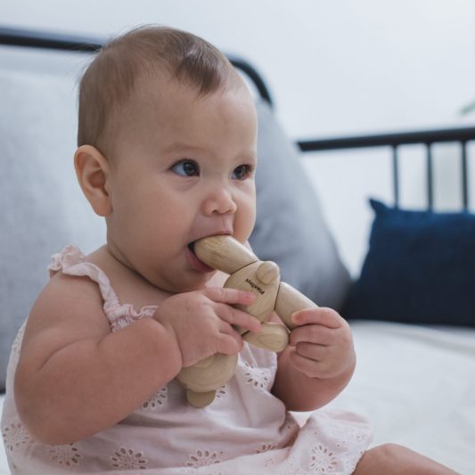 Plan Toys Wooden Bear Leo & Bella