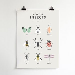 We Are Squared Insect Poster 50x70cm