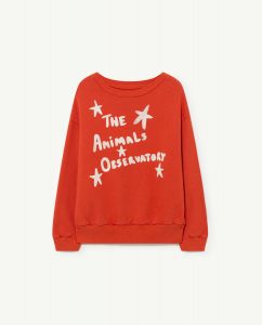 The Animal Observatory AW21 Xmas Recycled Bear Sweatshirt Stars Red