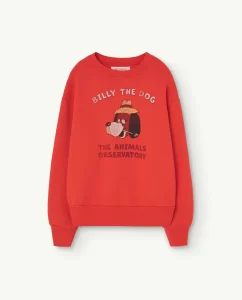 The Animal Observatory Kids Bear Sweatshirt Billy De Dog Red