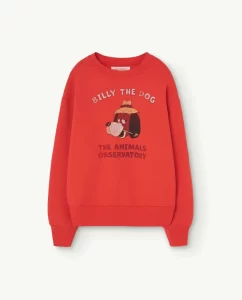 The Animal Observatory SS24 Kids Bear Sweatshirt Billy De Dog Red