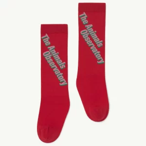The Animal Observatory AW19 Worm Kids Socks Red Celebrate - Size 27-30
